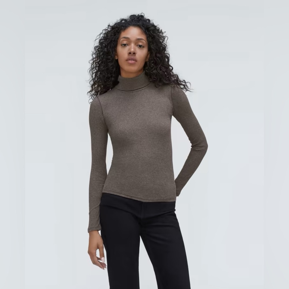Everlane Luxe Micro-Rib Turtleneck